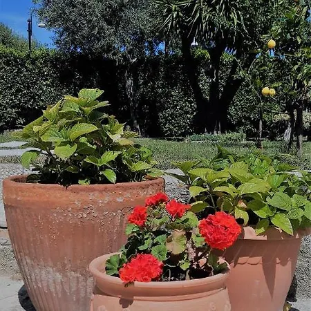 A Casa Di Nonna