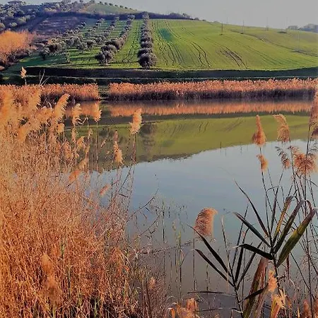 A Casa Di Nonna 住宿加早餐酒店 托尔托雷托