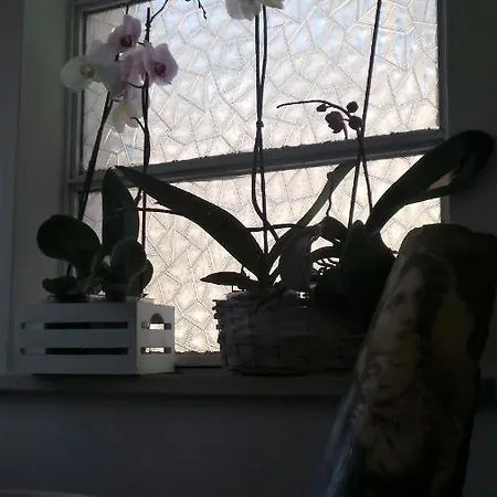 A Casa Di Nonna B&B 토르토레토