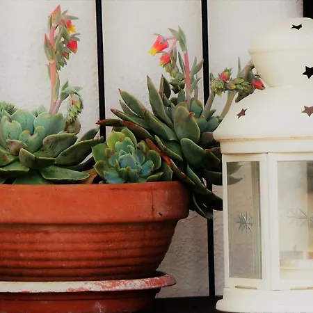 A Casa Di Nonna B&B *