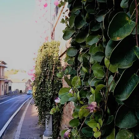 A Casa Di Nonna