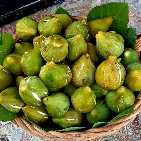 A Casa Di Nonna Bed & Breakfast *