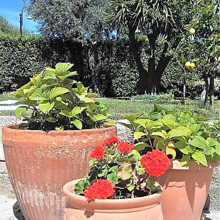 B&B A Casa Di Nonna *