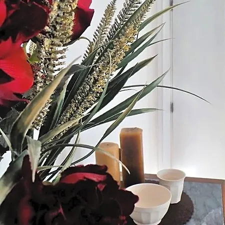 A Casa Di Nonna B&B 토르토레토
