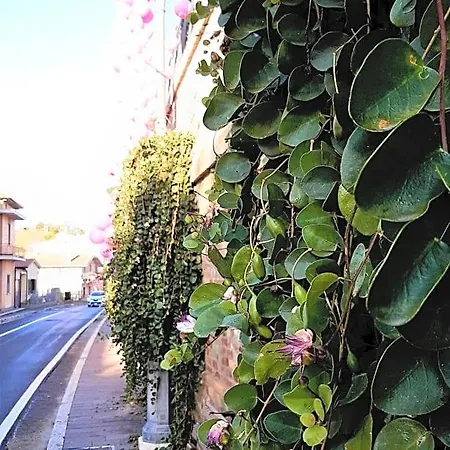 A Casa Di Nonna 토르토레토