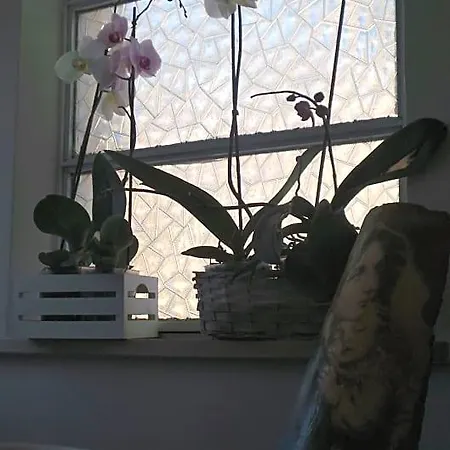 A Casa Di Nonna 토르토레토