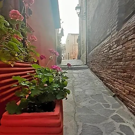 A Casa Di Nonna B&B 토르토레토