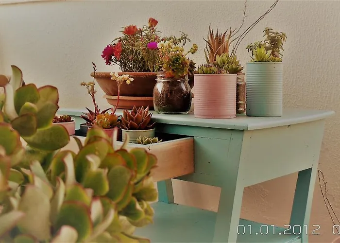 A Casa Di Nonna Bed & Breakfast *