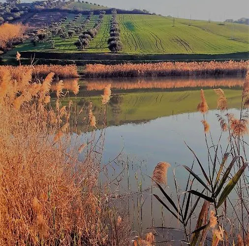 A Casa Di Nonna Bed & Breakfast Tortoreto
