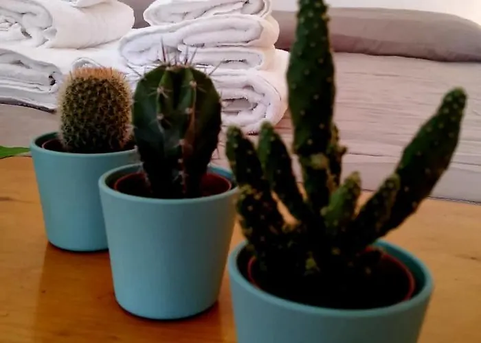 A Casa Di Nonna Bed & Breakfast