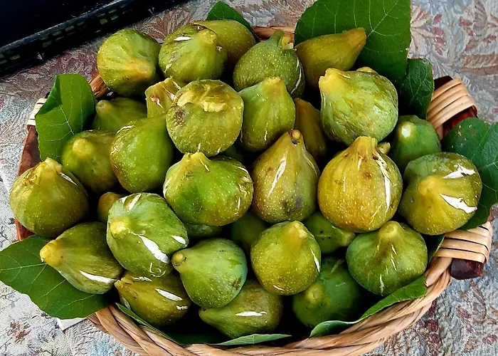 A Casa Di Nonna Bed & Breakfast *